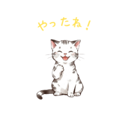838633342