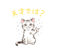 838633348