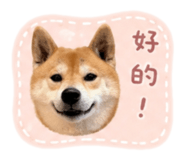 838633895