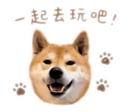 838633902
