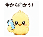 838634059