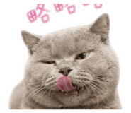 838634238