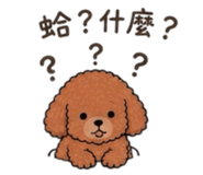 838634623