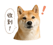 838634827