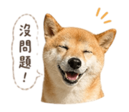 838634831