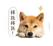 838634842