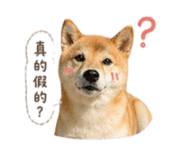 838634843