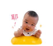 838635117