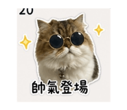 838635780