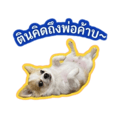 838637003