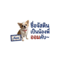 838637008