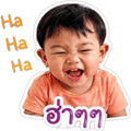 838637313