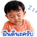 838637334
