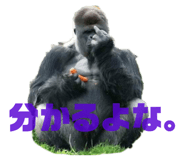 838638479