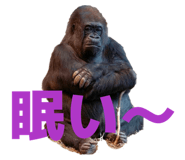 838638487