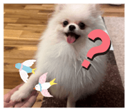 838638920