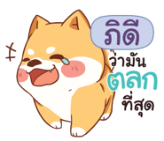 838644506