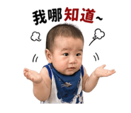838646565