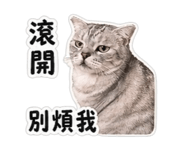 838647475