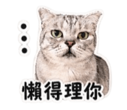 838647477