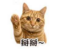 838647554