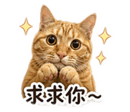 838647561