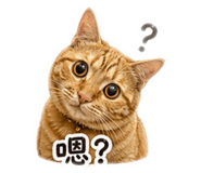 838647565