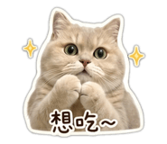 838648733