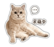 838648754