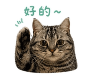 838649349