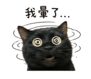 838649392