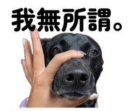 838649756