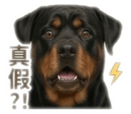 838649867