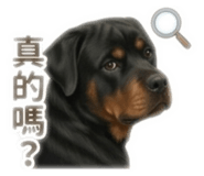 838649869