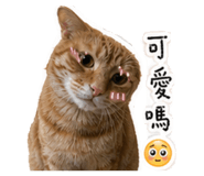 838649908