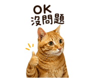 838651363