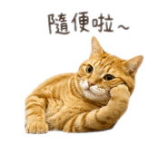 838651367
