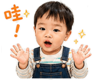 838652020