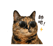 838652245