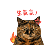 838652256