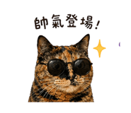 838652261
