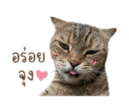 838653746