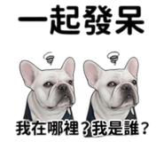 838653781