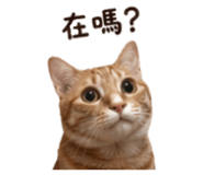 838654026