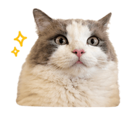 838655514