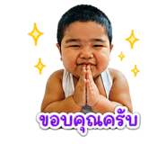 838655633