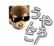 838656506