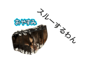 838656509