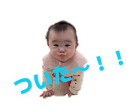 838656662