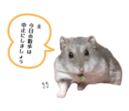 838656762